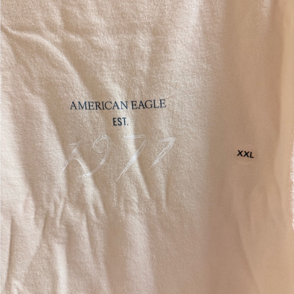 American Eagle Outfitters Short Sleeve Tee - Picture 2 of 5